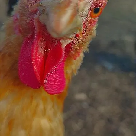 Apartment Altes Waschhaus Krakvitz *