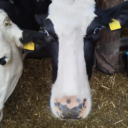 Altes Waschhaus Krakvitz Putbus